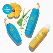 milk-shake-sun-and-more-trio-art